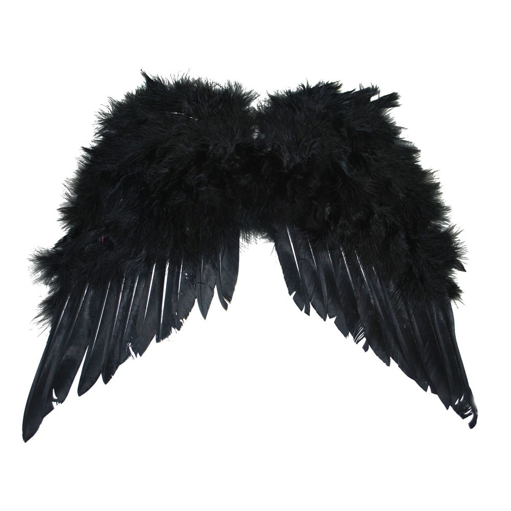 Schwarze Flügel Dark Angel